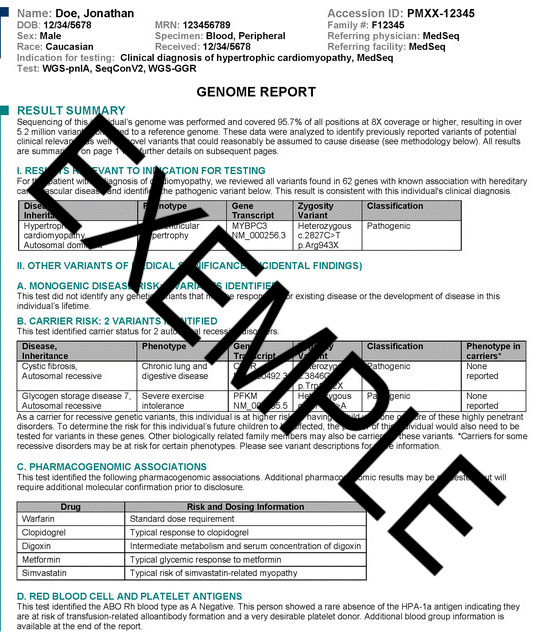 Sample Report Preview